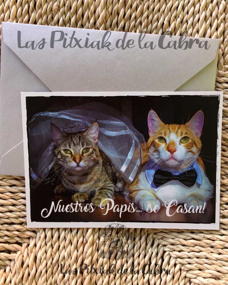 Invitación los Gatitos de Inma y Javi de boda postal de gatos disfrazados nuestros papis se casan